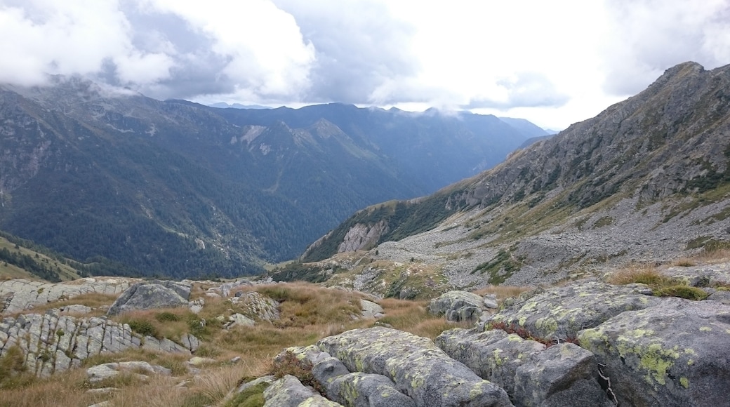 Parco Naturale Adamello (Q47780554)