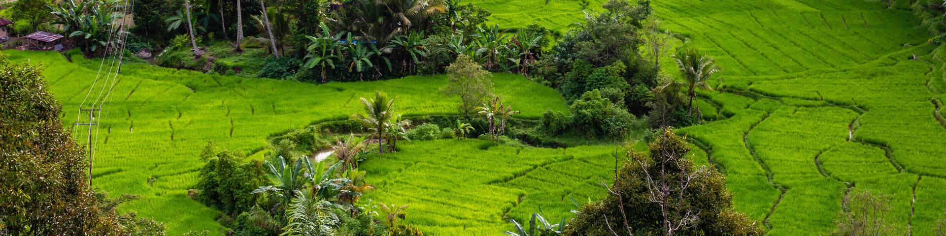 Traveling from Sipirok to Bukittinggi on Sumatra