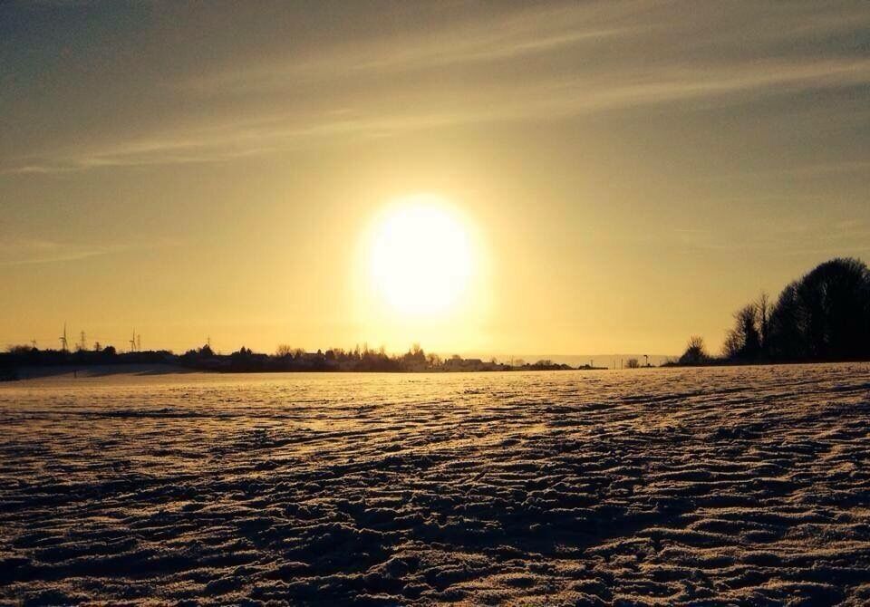 A frozen landscape with the sun setting over a body of water, silhouetted trees, and distant wind turbines.