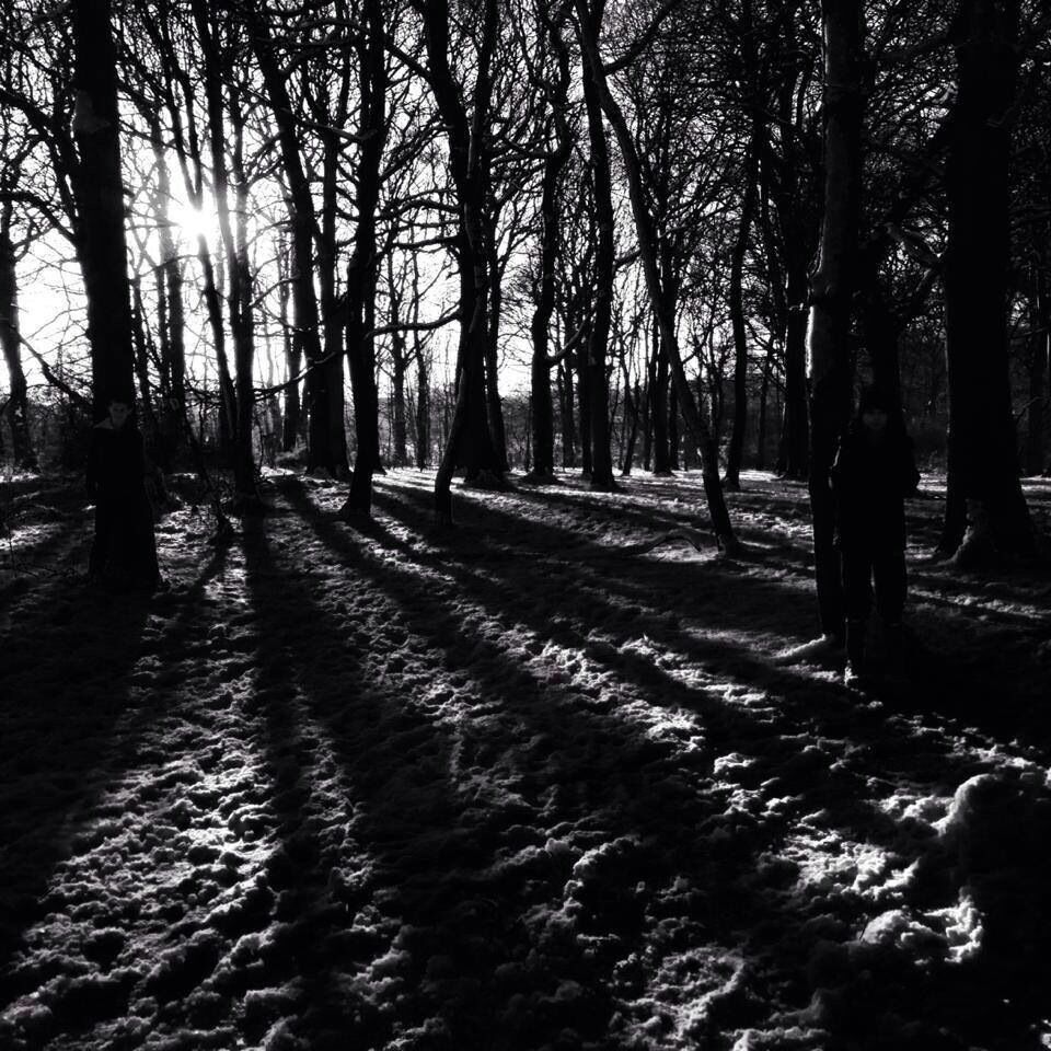 A stroll around the woods in December. Snow was on the ground. Love the shadows. 