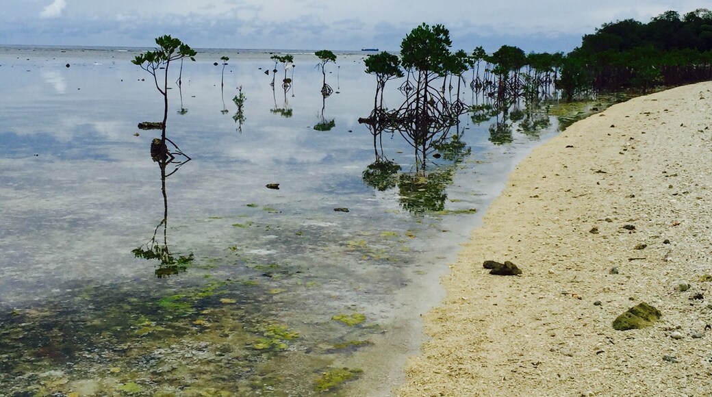 Nogas Island is a government naval reservation island in Antique province, Philippines.
