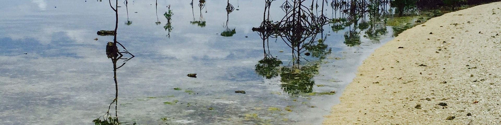 Nogas Island is a government naval reservation island in Antique province, Philippines.