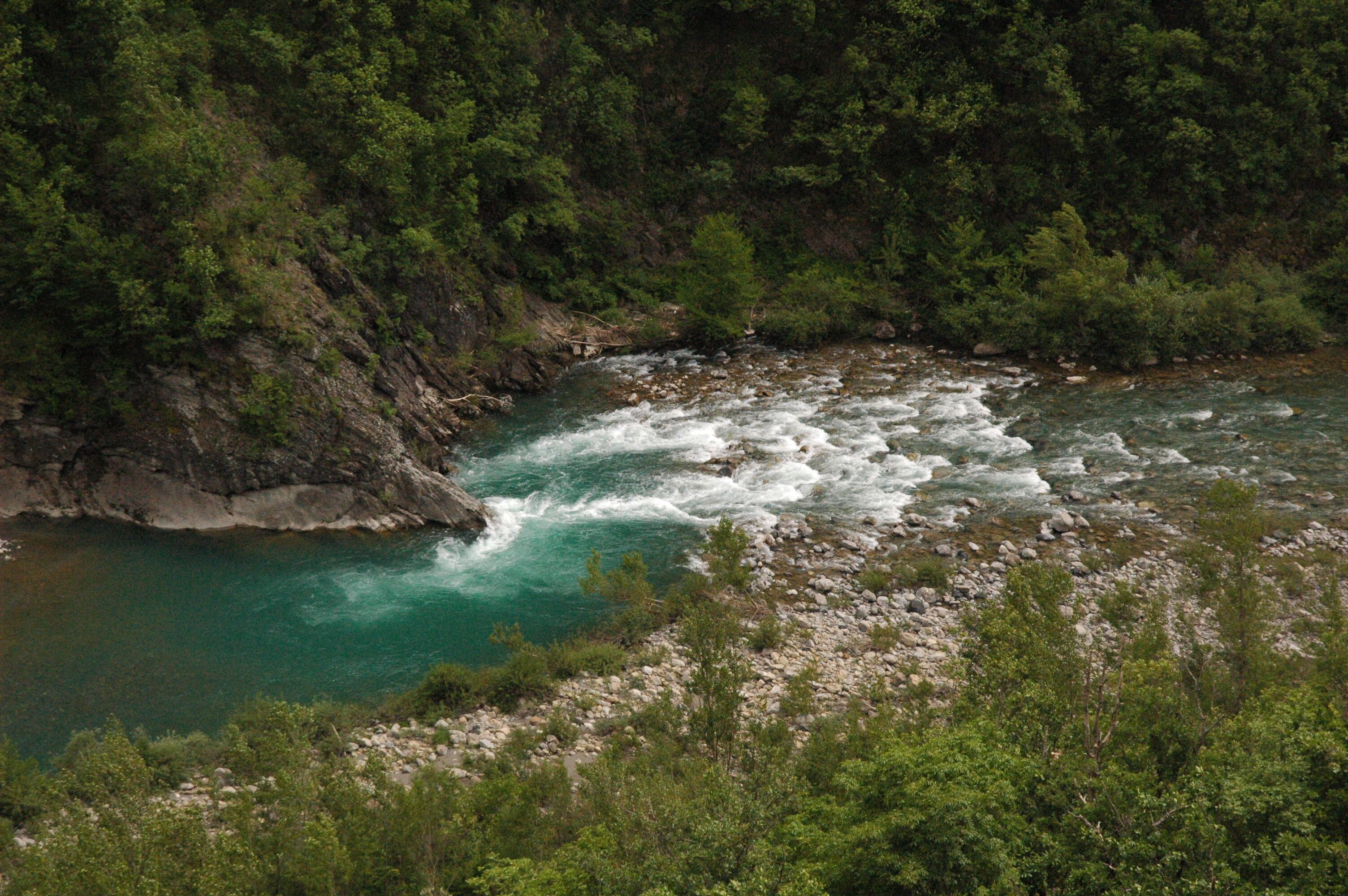 A river flowing through a rocky gorge surrounded by dense forest.