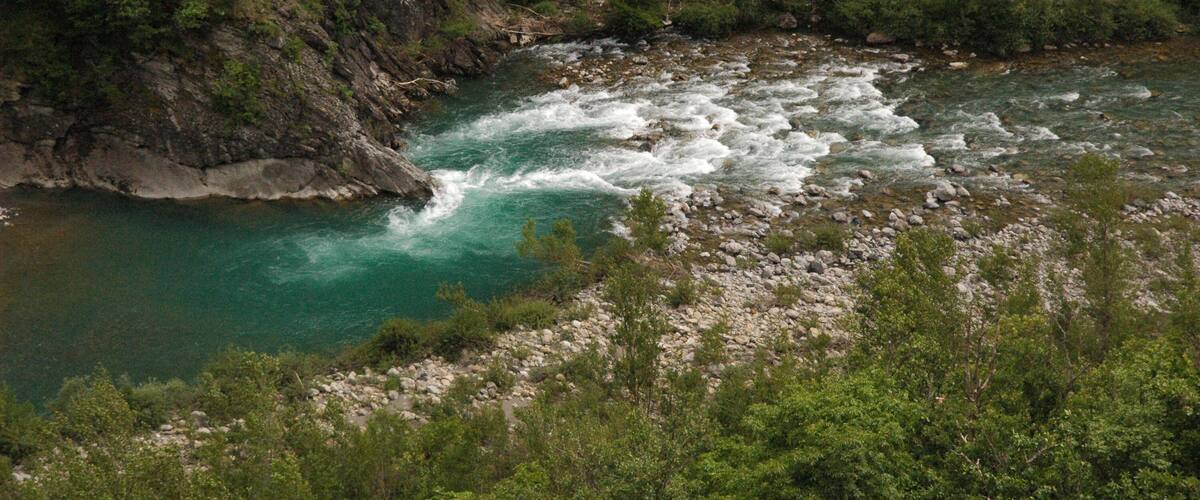 A river flowing through a rocky gorge surrounded by dense forest.