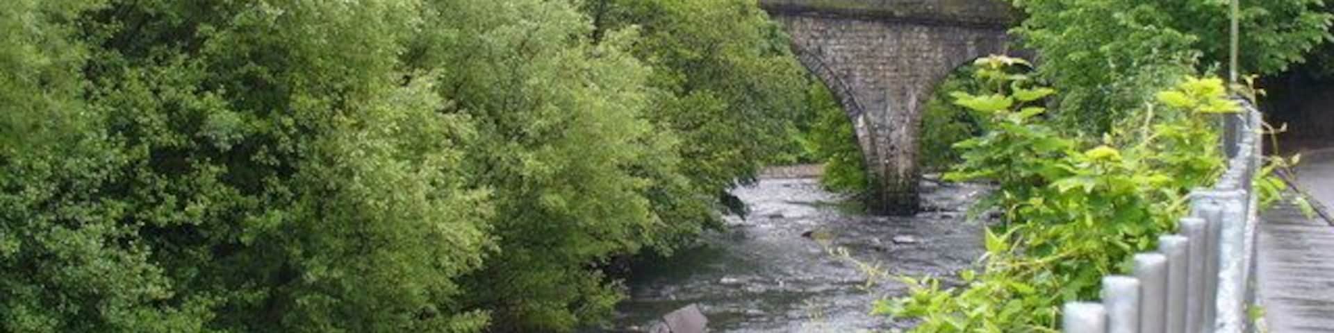 River Cynon in Abercynon This fast flowing Taff tributary flows under the railway arches to join the main river at Watersmeet.