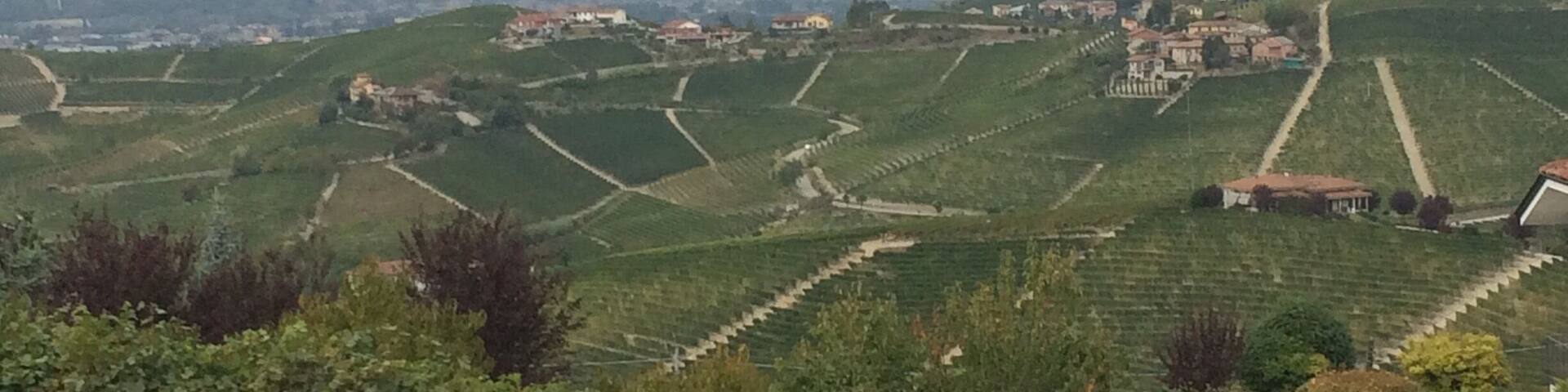 A rural landscape with terraced vineyards, a road, and scattered buildings.