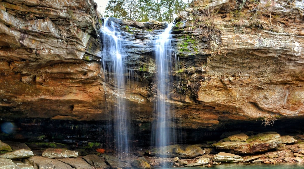 Named Ferne Clyffe waterfall on Google maps, but really named Bork Falls
Separate from trails in Ferne Clyffe State Park out off Regent Lane.