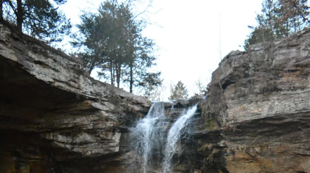 I've heard it called Bork, I've seen it called Fern Clyffe waterfall, and it's in Goreville, Illinois outside of Fern Clyffe State Park.