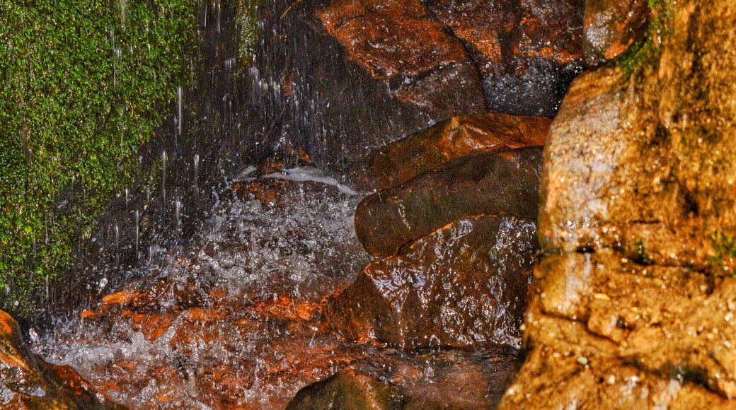 Ferne Clyffe Waterfall Detail
Goreville IL
#detail