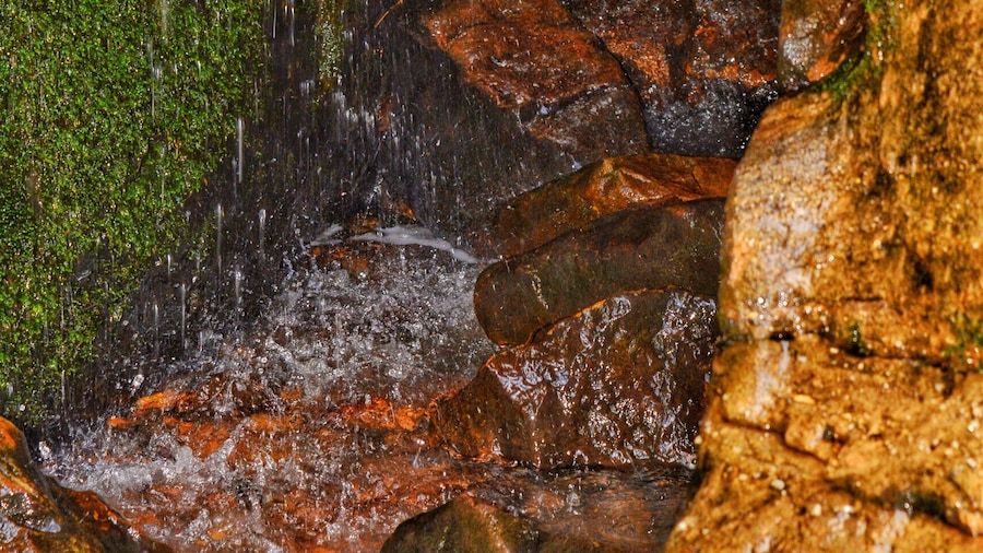 Ferne Clyffe Waterfall Detail
Goreville IL
#detail