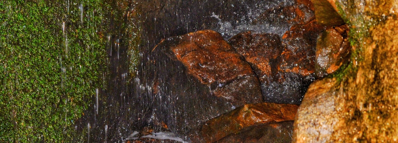 Ferne Clyffe Waterfall Detail
Goreville IL
#detail