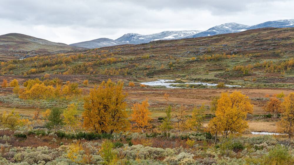 Klimpfjäll, Sweden - september 2019