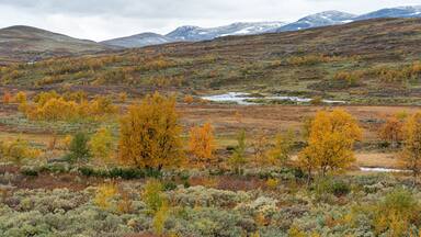 Klimpfjäll, Sweden - september 2019
