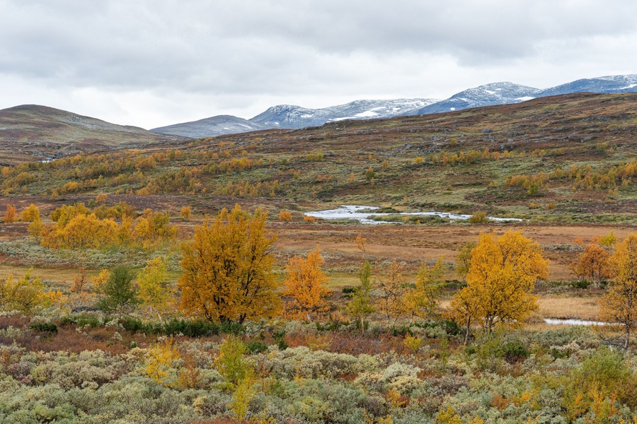 Klimpfjäll, Sweden - september 2019