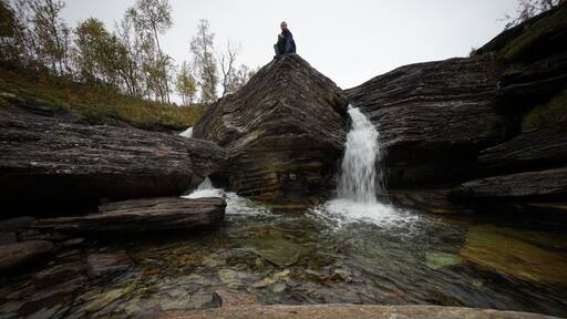 Found this hidden gem in klimpfjäll