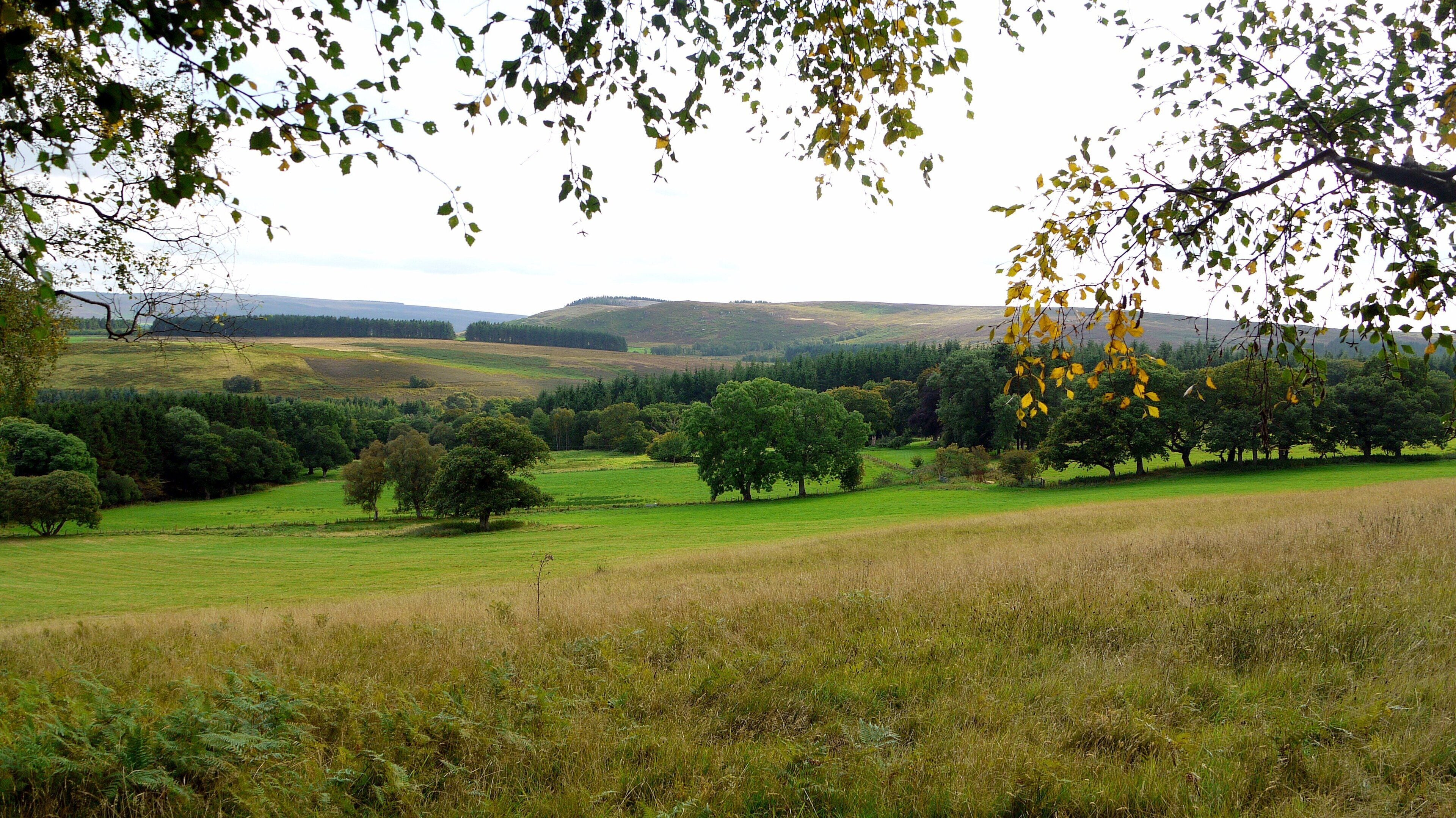 Field north of Campville