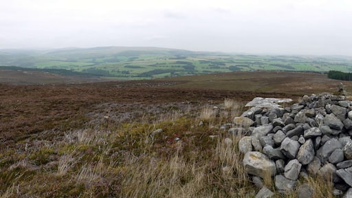 Cairn on Cold Law Panorama north-east from the trig point