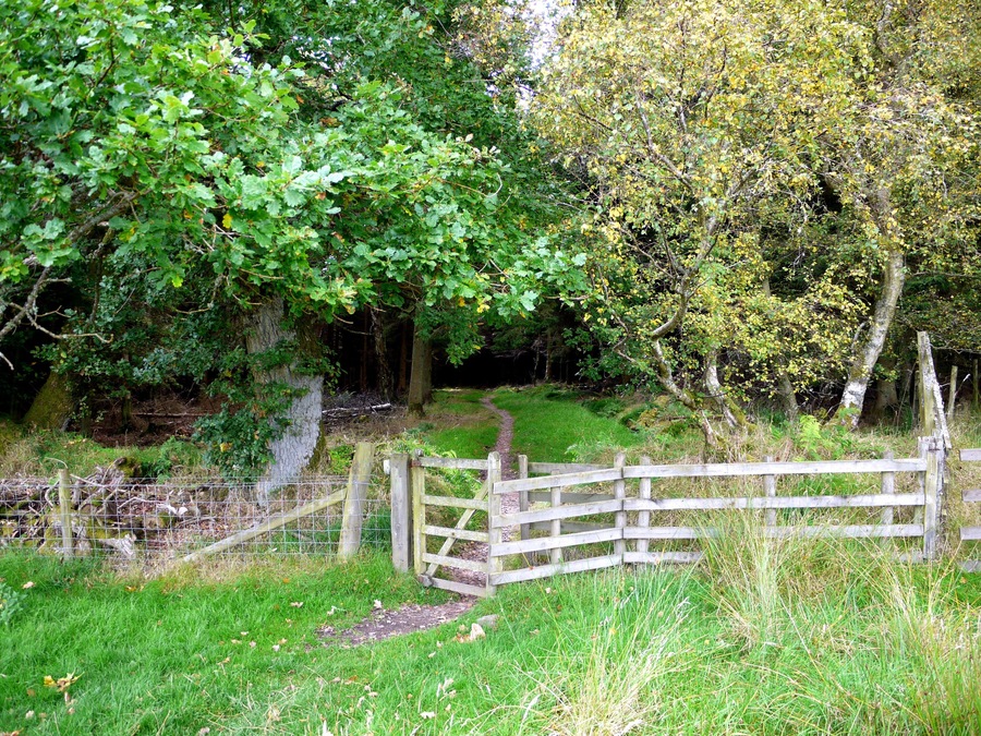 Gate on footpath into Holystone Wood west of Lady's Well