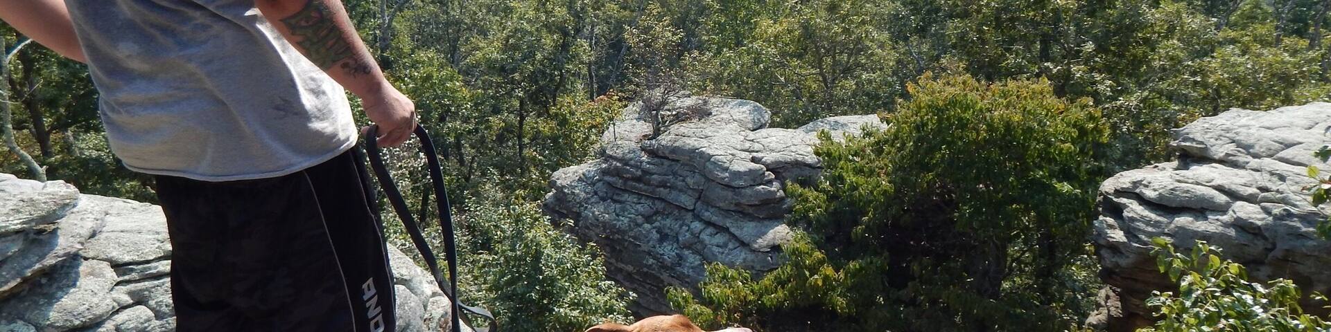 The view at Garden of the Gods was worth the hike- pictures do not do it justice!