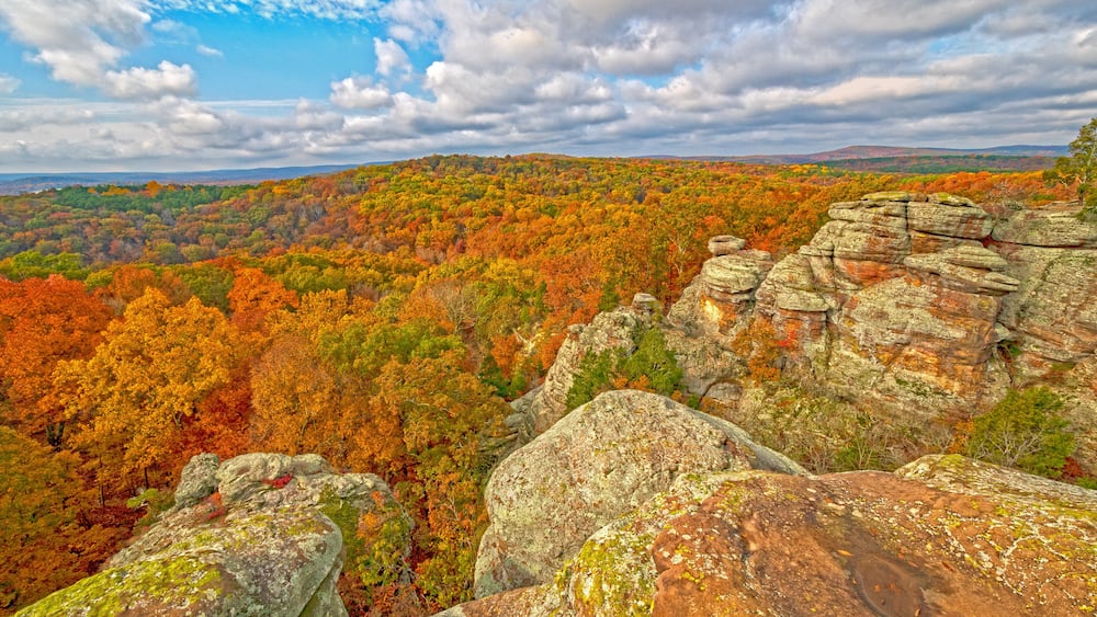 Sunny Skies and Fall Colors in Garden of the Gods