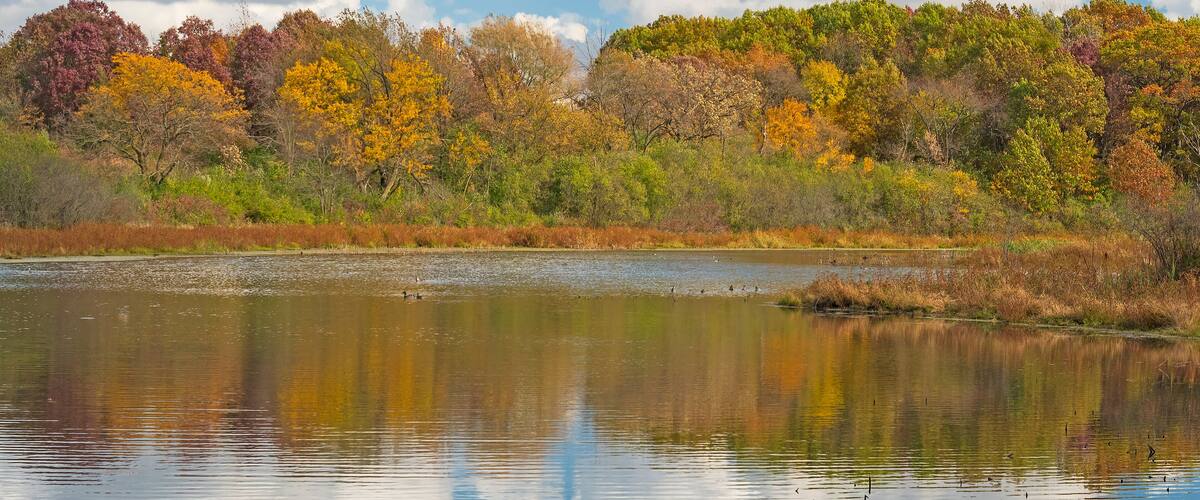 A calm lake reflecting trees with autumn foliage, surrounded by a grassy area and a forested hill.