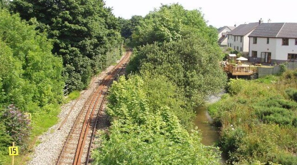 the railway and river at Bridges (Luxulyan)