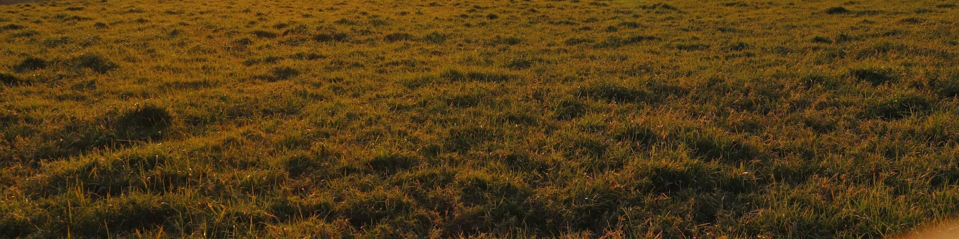 Sunset landscape photography