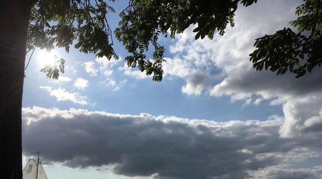 Skûtsje (or tjalk) sailing regatta on the lake. Your typical Frisian vista. A painting in motion.
