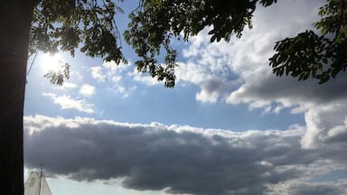 Skûtsje (or tjalk) sailing regatta on the lake. Your typical Frisian vista. A painting in motion.