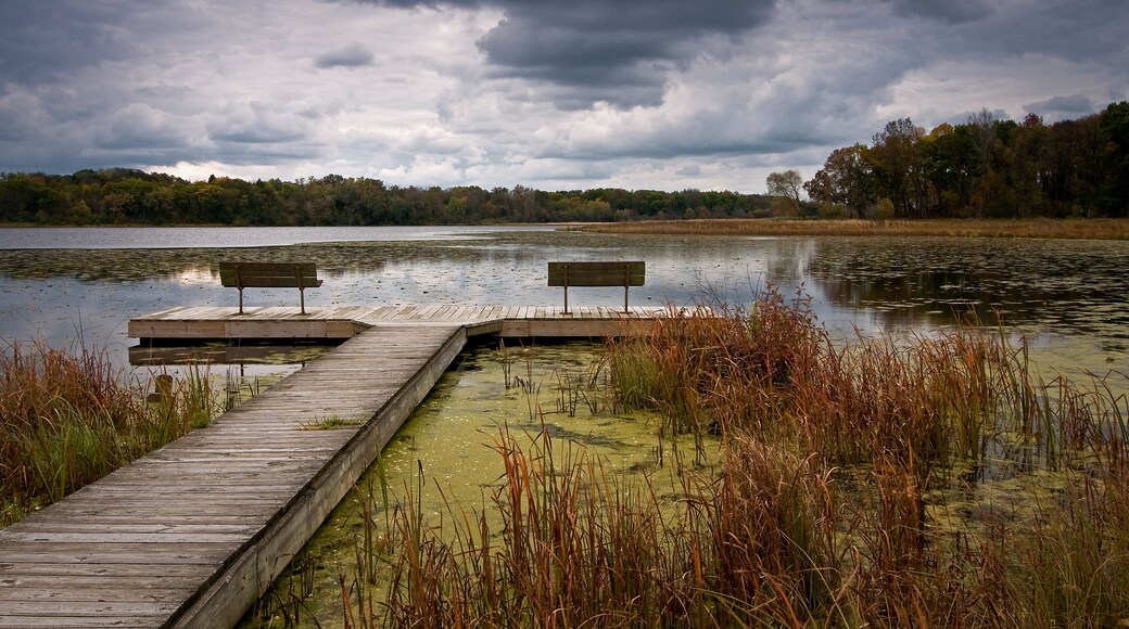 An overcast fall day on Lake Defiance, Moraine Hills State Park, McHenry, Illinois.