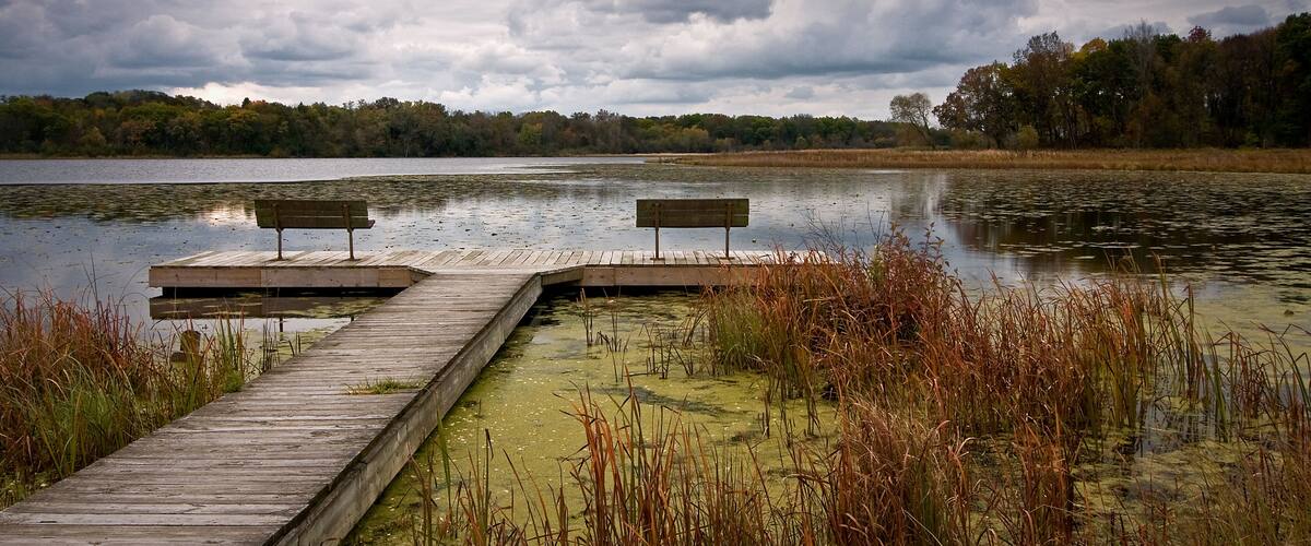 A wooden dock extending into a lake with two benches, surrounded by reeds and trees under a cloudy sky.