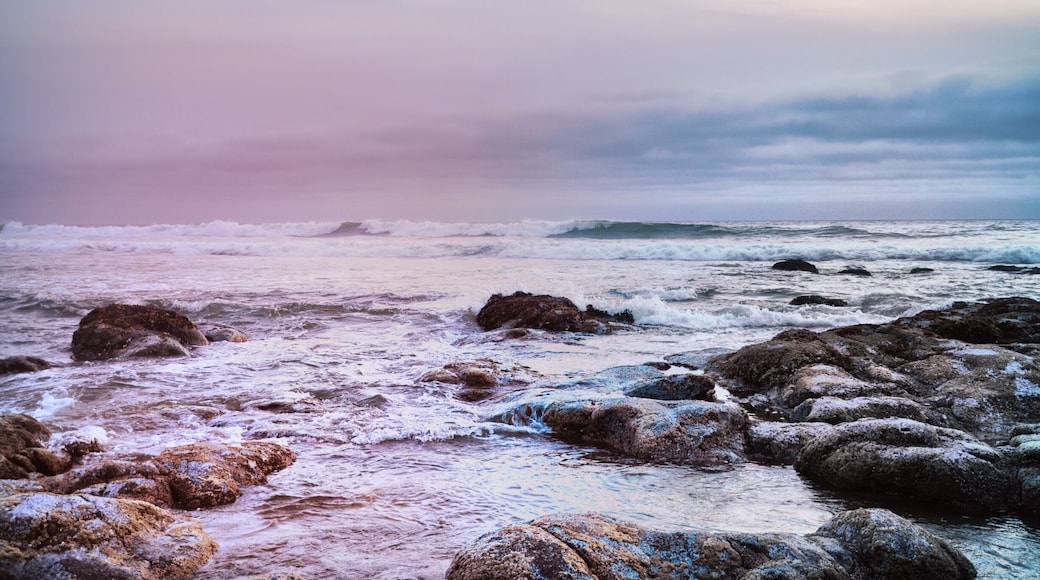 Oregon Coast is so beautiful #beach #outdoor