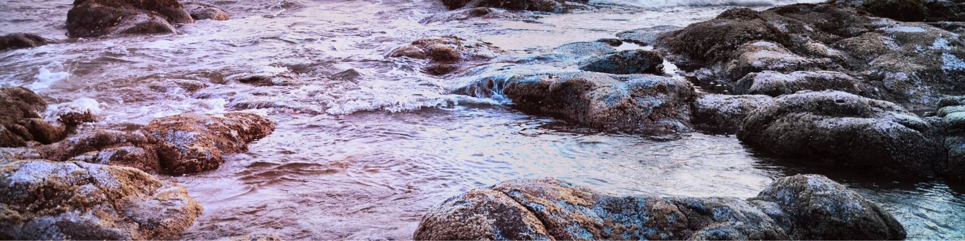 Oregon Coast is so beautiful #beach #outdoor