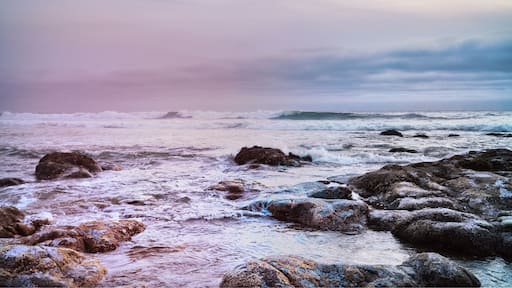 Oregon Coast is so beautiful #beach #outdoor