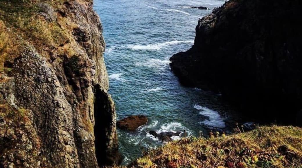 My spirit is sea foam as I wave good-bye to the final day of summer.
#songriver #nikon #cowgirlzenphotography #travelphotography #lastdayofsummer #newport #california #oregon #washington #arizona #life #love #faith #hope #joy #autumn #2015 @instagram #water #ocean #rocks #birds #northwest #beauty #traveler #photoblogger @riversongsweetie