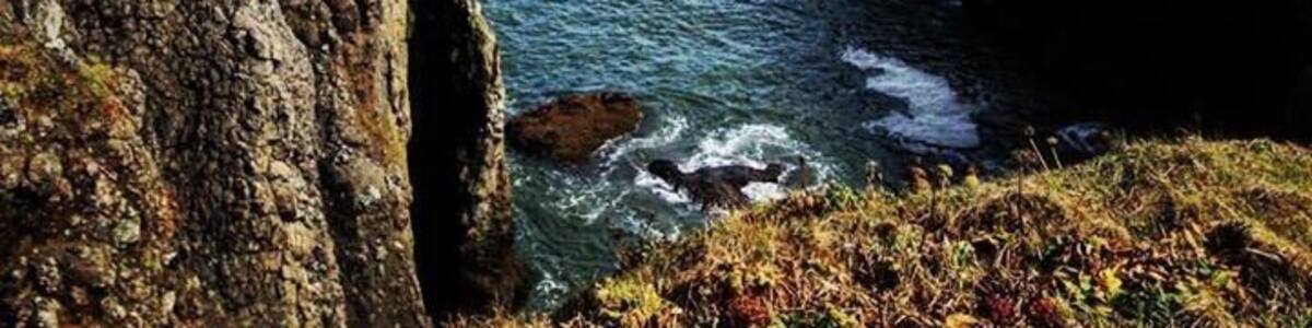 My spirit is sea foam as I wave good-bye to the final day of summer.
#songriver #nikon #cowgirlzenphotography #travelphotography #lastdayofsummer #newport #california #oregon #washington #arizona #life #love #faith #hope #joy #autumn #2015 @instagram #water #ocean #rocks #birds #northwest #beauty #traveler #photoblogger @riversongsweetie