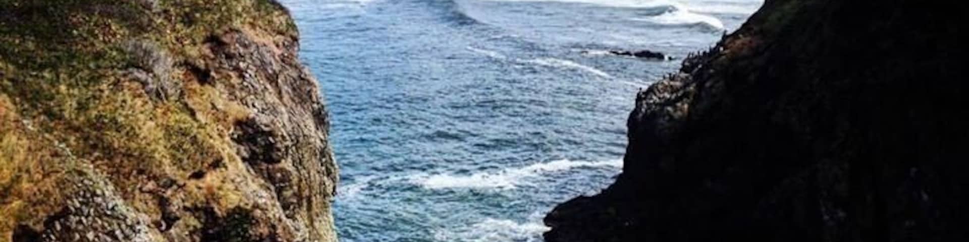 My spirit is sea foam as I wave good-bye to the final day of summer.
#songriver #nikon #cowgirlzenphotography #travelphotography #lastdayofsummer #newport #california #oregon #washington #arizona #life #love #faith #hope #joy #autumn #2015 @instagram #water #ocean #rocks #birds #northwest #beauty #traveler #photoblogger @riversongsweetie