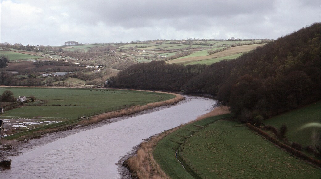 The arrival by train at Calstock in Cornwall over the viaduct in 1979. River Tamar. Camera: Olympus OM1 35mm SLR.