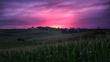 Cool and artsy interiors :)