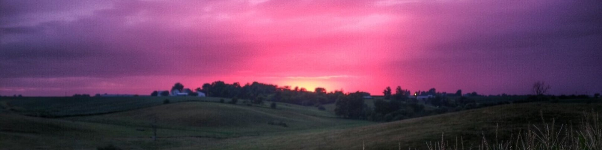 Cool and artsy interiors :)