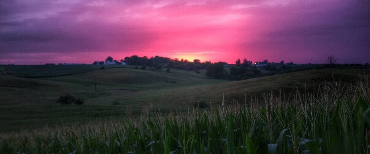 A sunset over a rural landscape with rolling hills and a field of tall grass in the foreground.