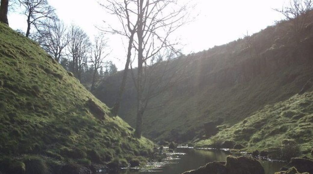 Chesterhope Common quarries A man-made valley created in the 19th Century as a result of ironstone quarrying just south of Ridsdale.