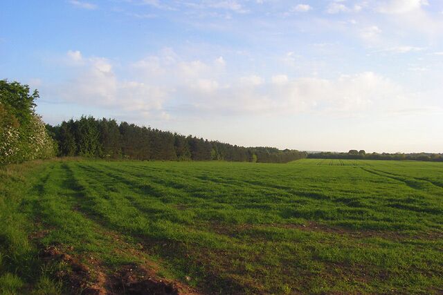 A vast green field with a line of trees in the distance under a partly cloudy sky.