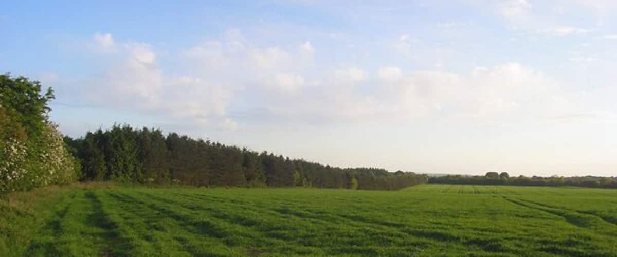 A vast green field with a line of trees in the distance under a partly cloudy sky.