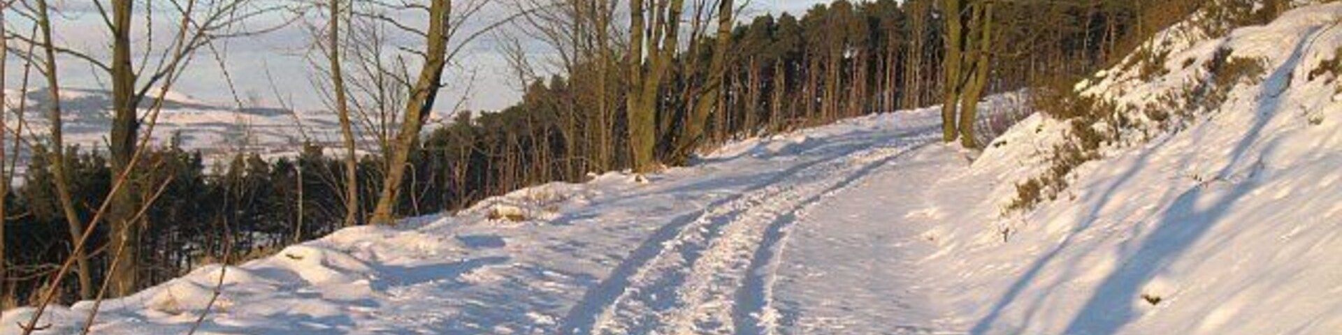 Un sendero cubierto de nieve con surcos de neumáticos serpenteando por un bosque.