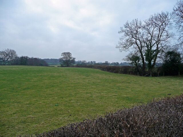 Pasture near Coedway View south of the B4393 just into Wales.