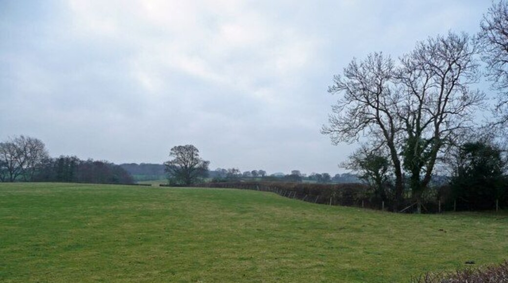 Pasture near Coedway View south of the B4393 just into Wales.