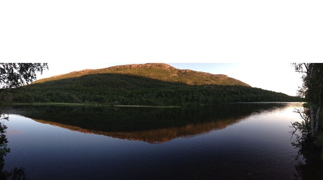 #norway #midnightsun #fish #water