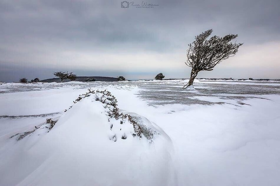 Views at Crowcombe Park Gate on the Quantock Hills