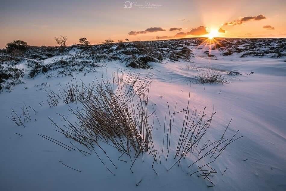 Snowy sunset on the Quantock Hills in Somerset 